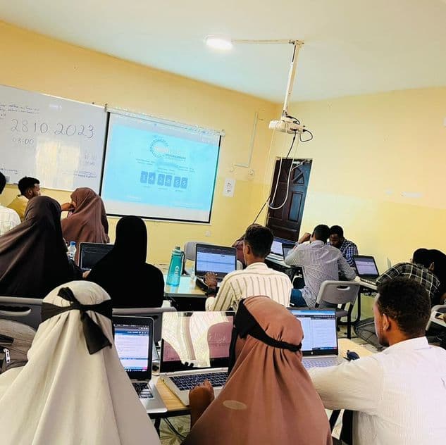 Glorious Performance at the IEEEXtreme Programming Competition